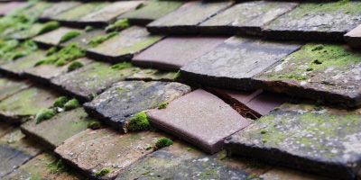 Harston roof repair costs